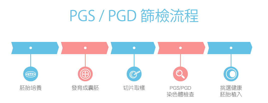 胚胎著床前基因篩檢 PGS(PGT-A) / PGD(PGT-M) 篩檢流程